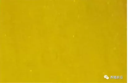 水产养殖几种水色辨别 合肥郑国生物科技有限公司
